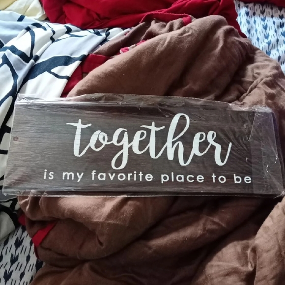 Wall decor and picture hanger